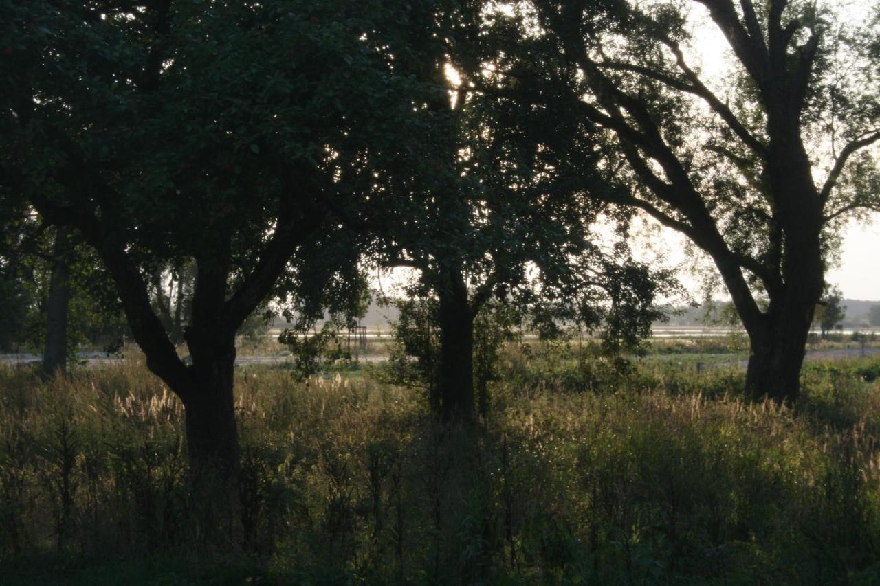 Landhaus An Der Wiek Poseritz Bagian luar foto